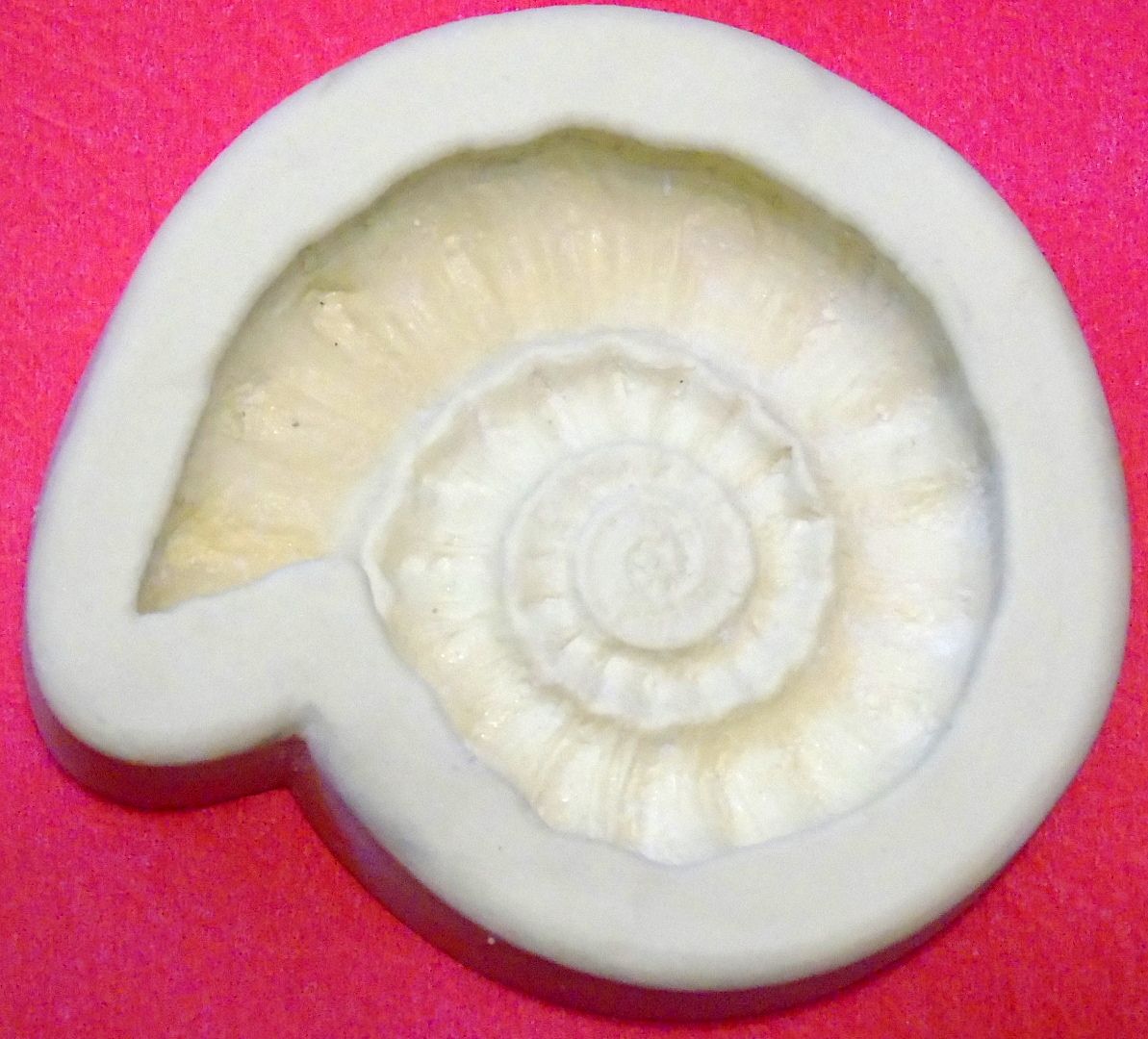 Moule ammonite large