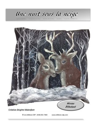 Une nuit sous la neige-BM (Français)