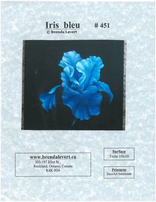 Iris bleu-BL (Français)