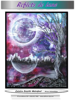 Reflets de lune-BM (Français)