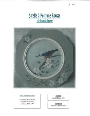 Sitelle Poitrine Rousse-BL (Français)