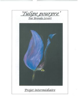 Tulipe pourpre-BL (Français)