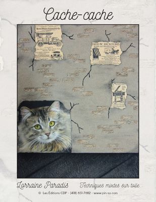 Cache-cache-LP (Français) Cache-cache-LP (Français)