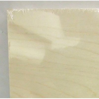 Panel Wood CBR 24"x30"