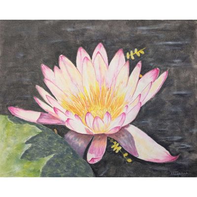Tableau Fleur de Lotus