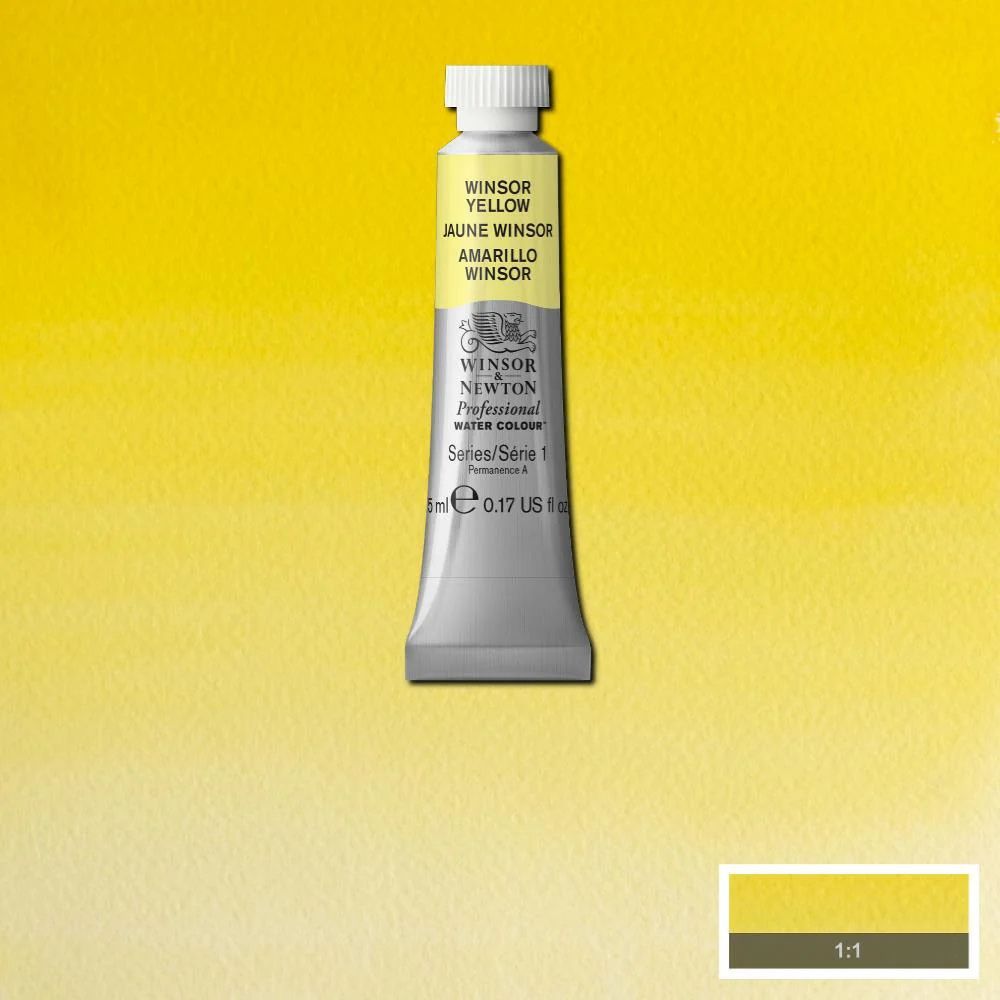 Aquarelle professionnelle 5 ml Winsor & Newton