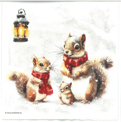 Serviettes de table - Famille Écureuil et Lapin (total de 10)