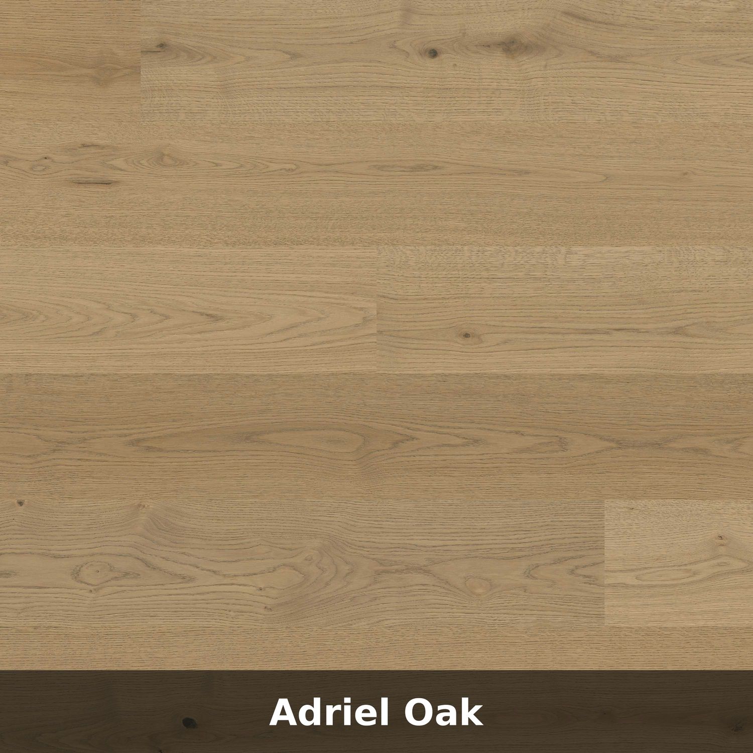 MSI Ladson® — Genuine European White Oak Engineered Hardwood, Color: Adriel Oak