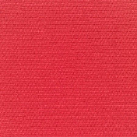 Canvas Logo Red