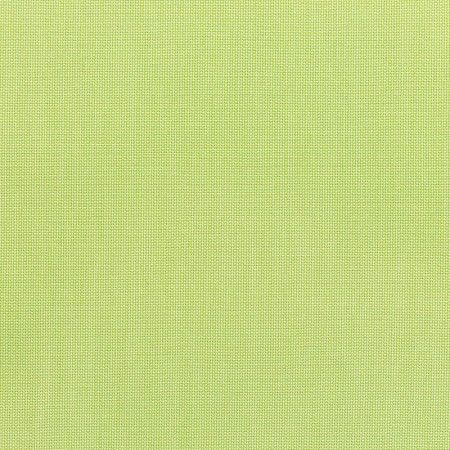 Canvas Parrot