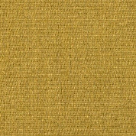 Canvas Maize