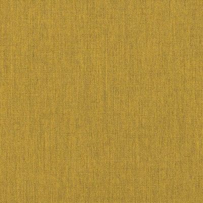 Canvas Maize