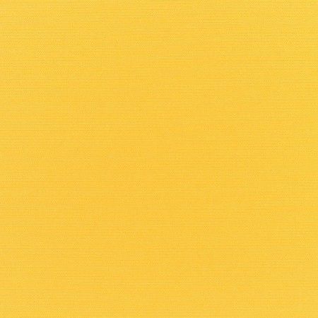 Canvas Sunflower