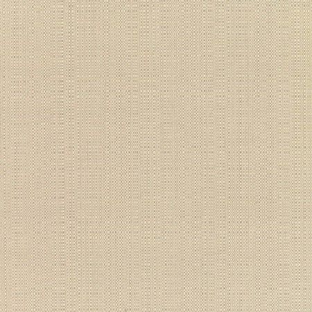 Linen Champagne