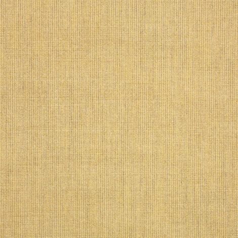 Spectrum Almond