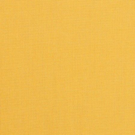 Spectrum Daffodil