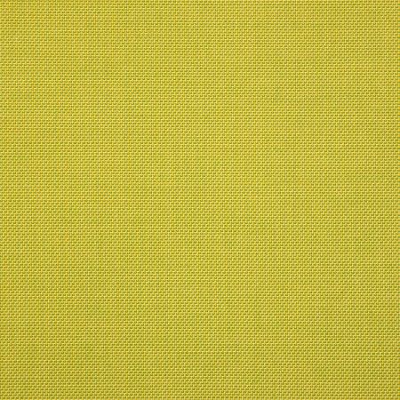 Spotlight Citron