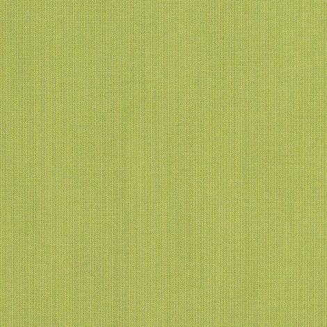 Spectrum Kiwi