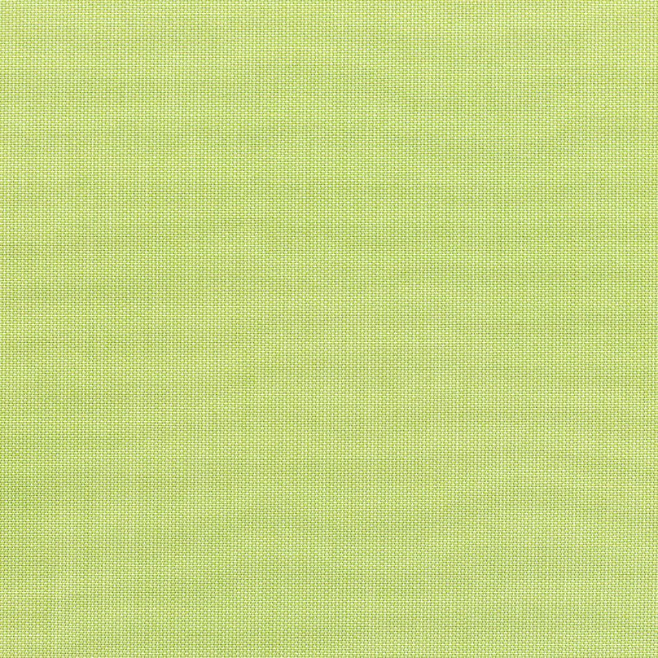 Canvas Parrot Canvas Parrot