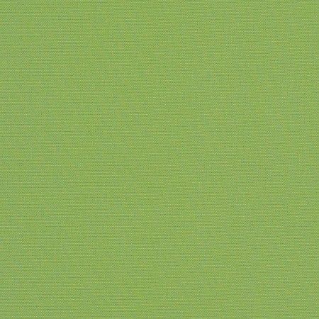 Canvas Ginkgo