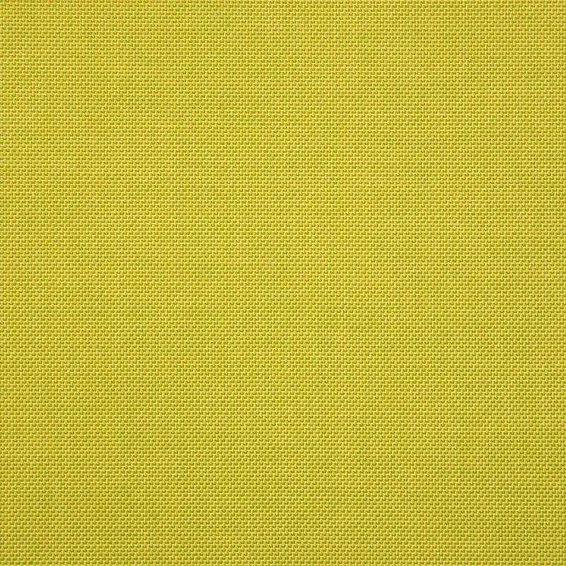 Spotlight Citron