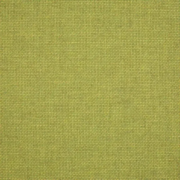 Essential Lime