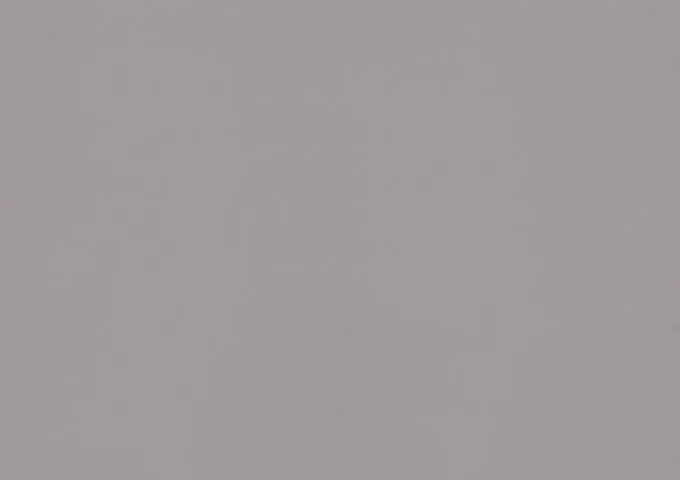 Surlast Grey Surlast Grey