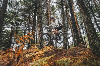 Cross Country Bikes
