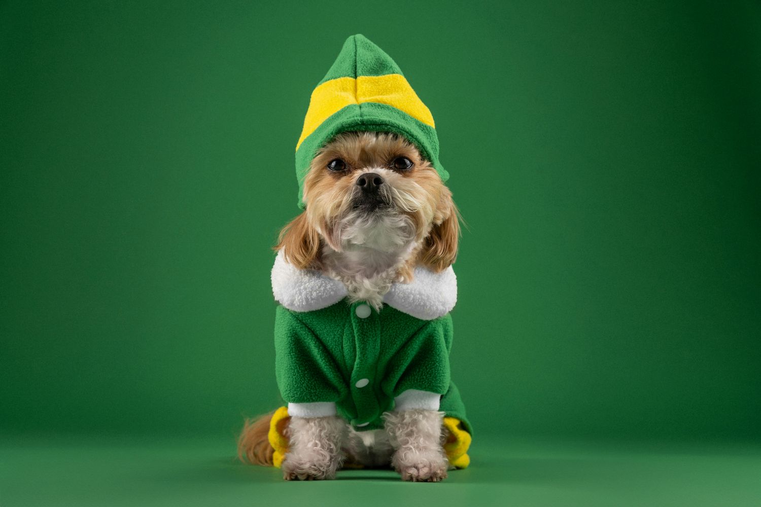 Purrfectly Warm Dog Sweater