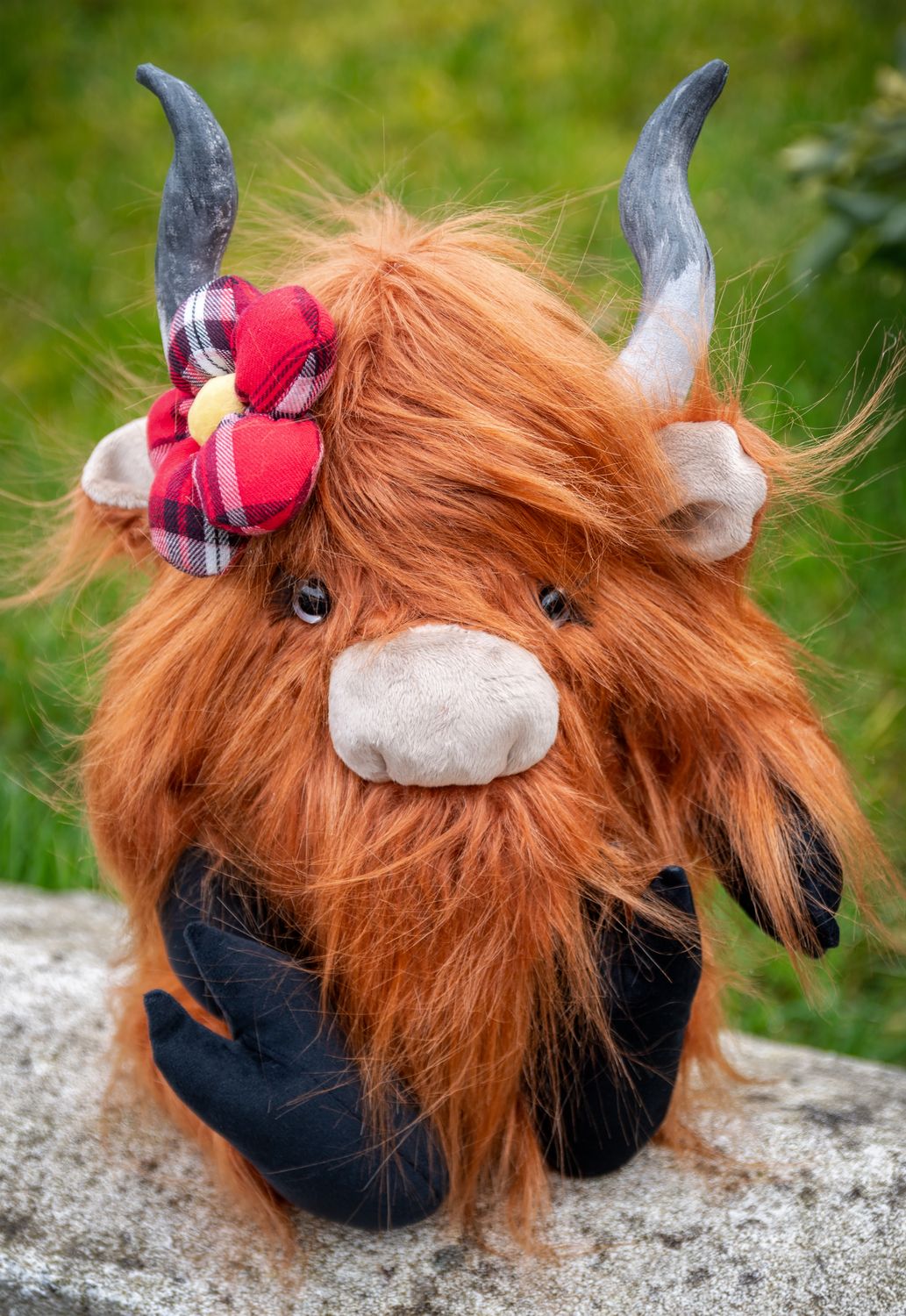 Highland Cow with flower