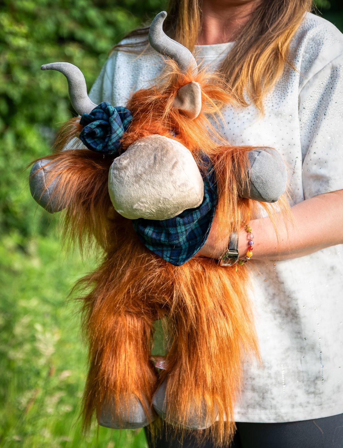 Highland Coo