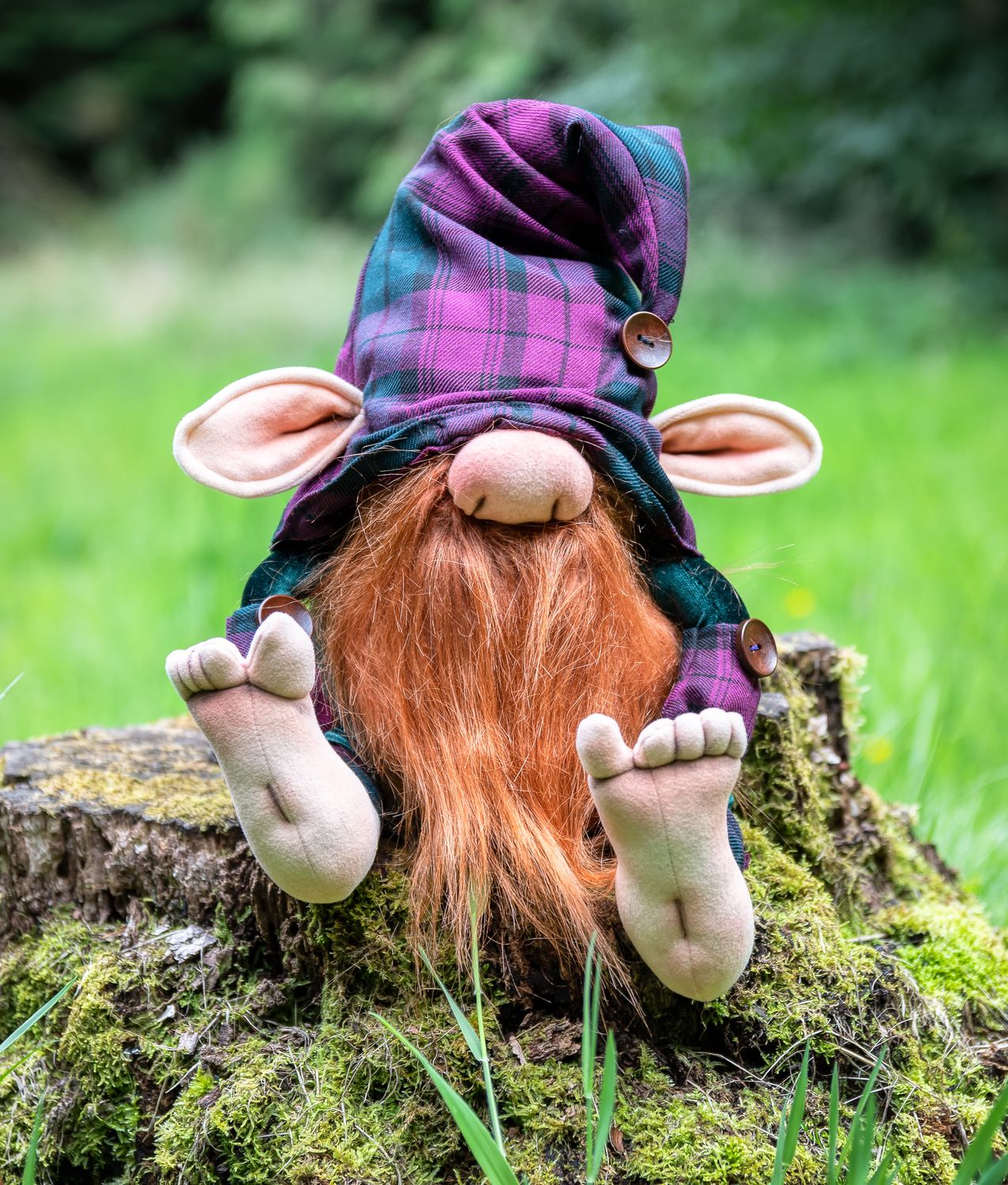 Elwood the Gnome