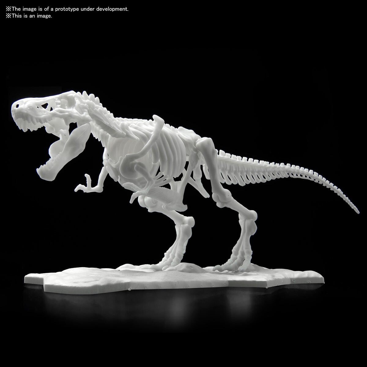 Limex Skeleton Tyrannosaurus Dinosaur Model Kit