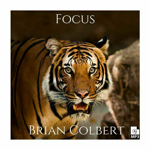 Focus MP3