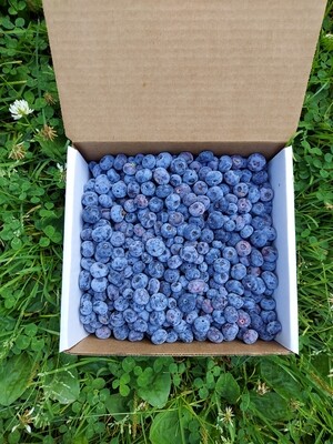 Frozen Organic Blueberries - 3 Pounds
