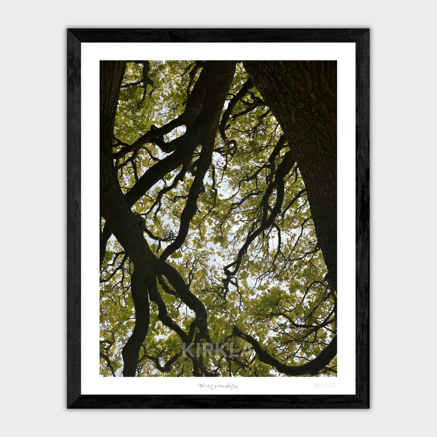 The Art of Misdirection