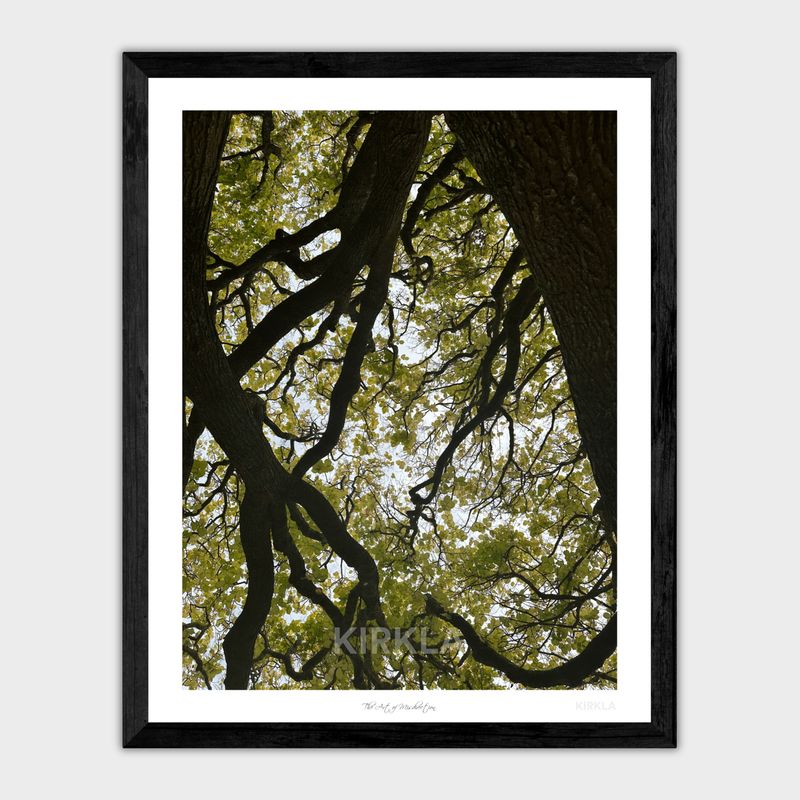 The Art of Misdirection