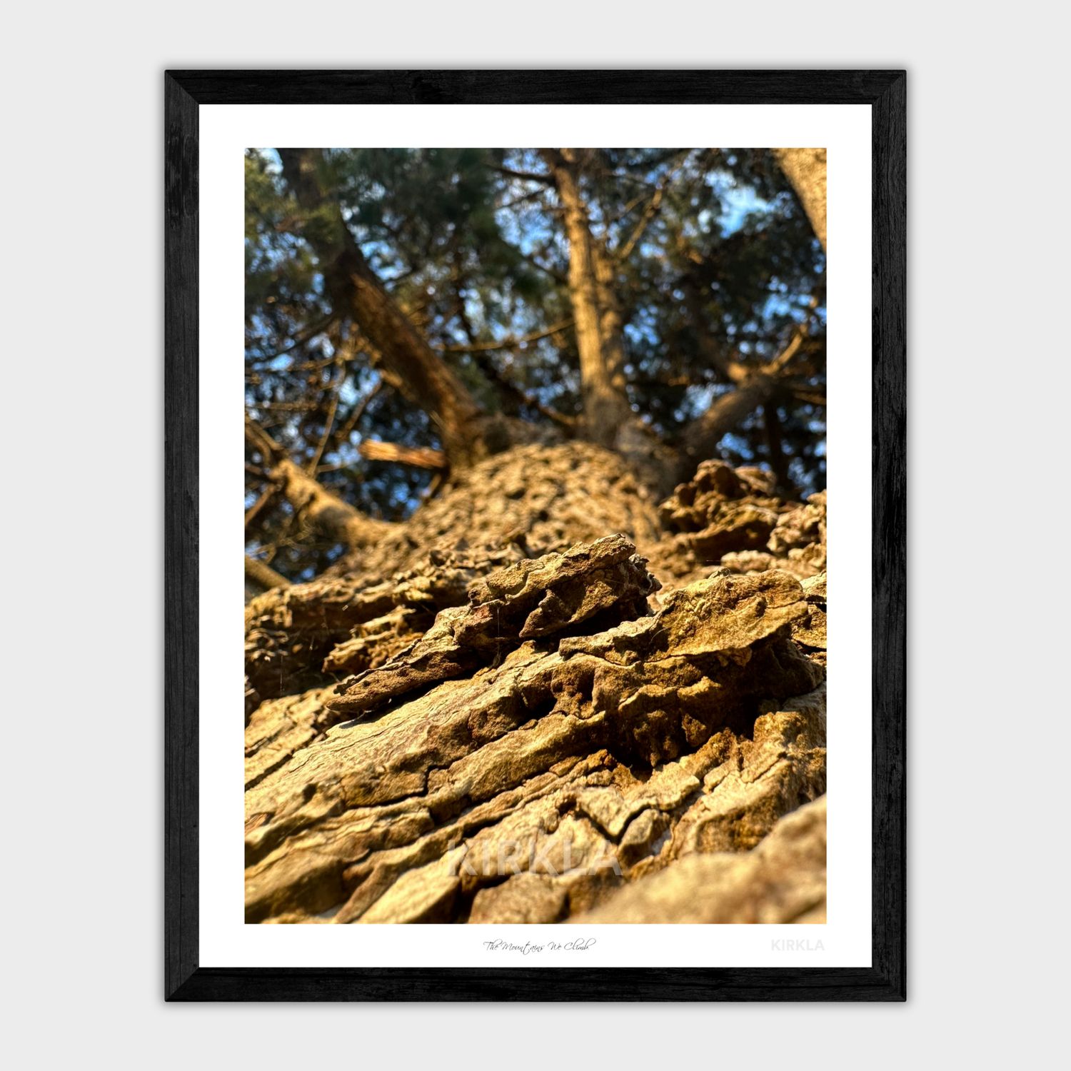 The Mountains We Climb