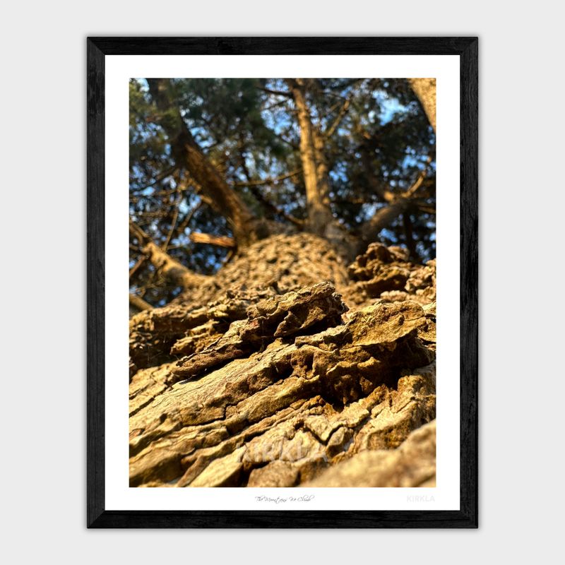 The Mountains We Climb