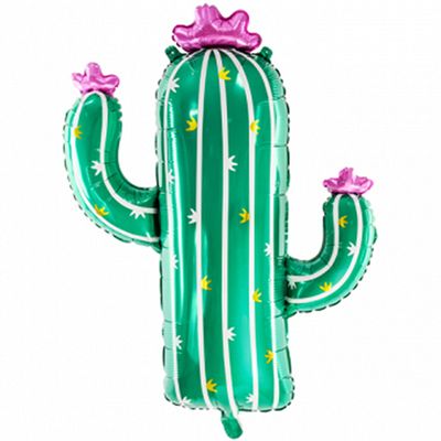 XXL - Cactus