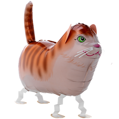XXL - Pet Walker - Tommy The Cat