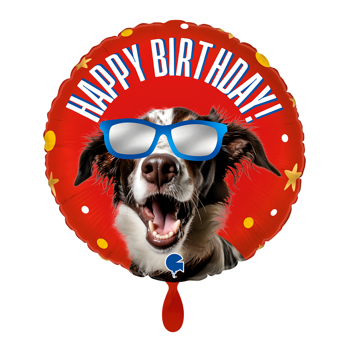 Cool Doggy Birthday