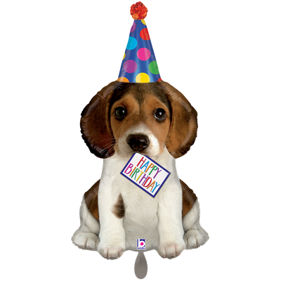 XXL - Birthday Puppy
