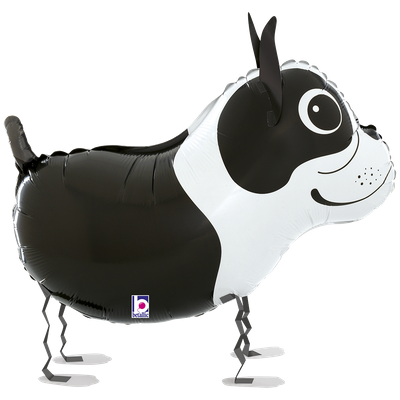 Balloon Friends - Boston Terrier