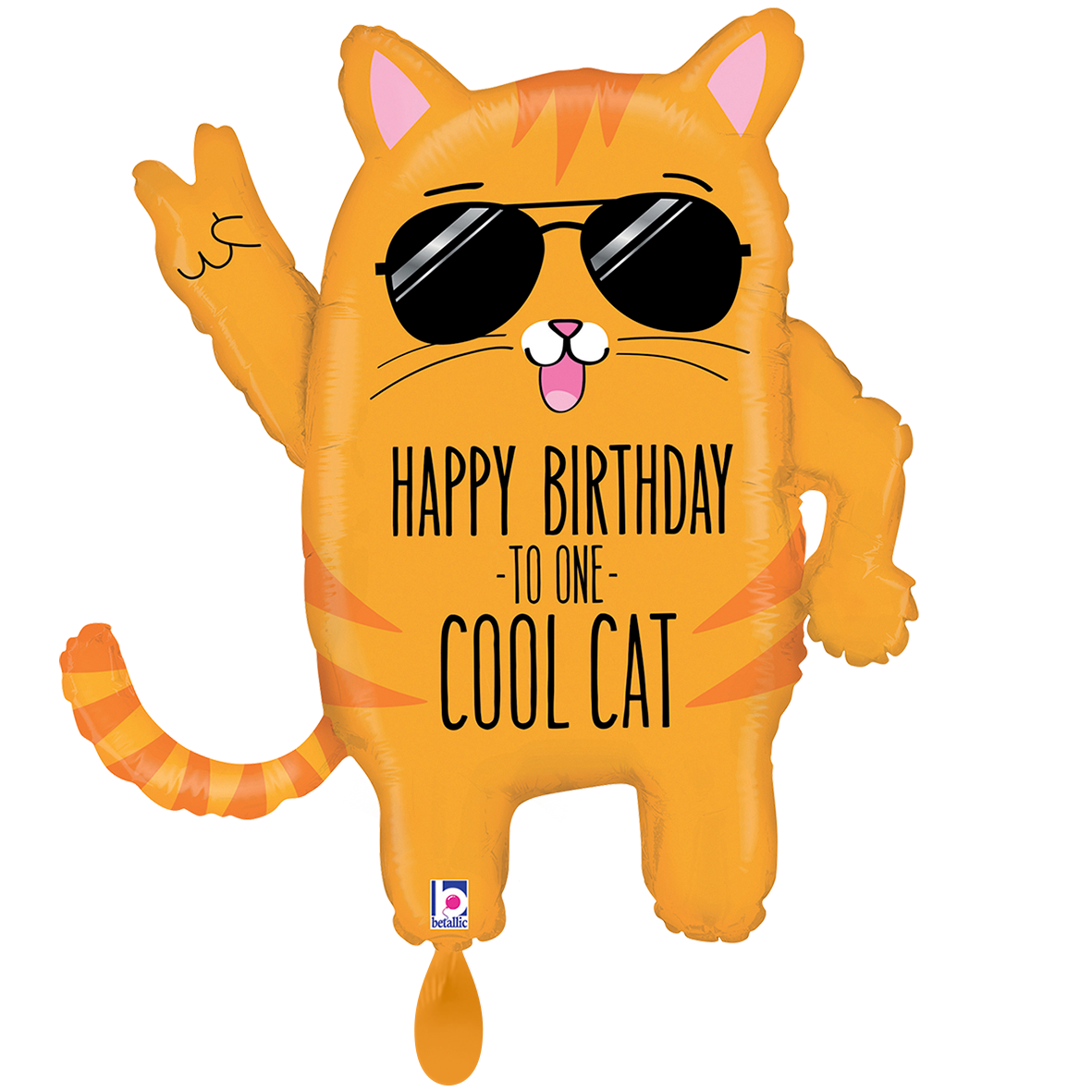 XXL - Cool Cat Birthday