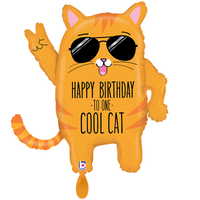 XXL - Cool Cat Birthday