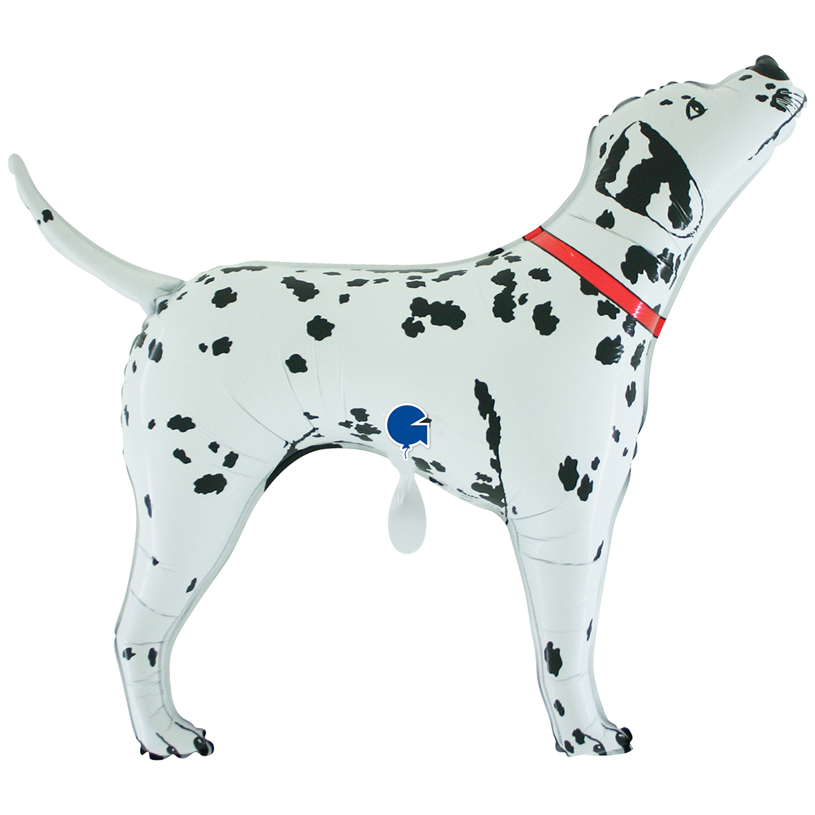 XXL - Dalmata Bingo