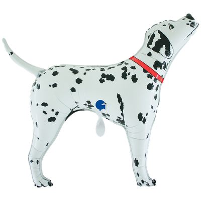 XXL - Dalmata Bingo
