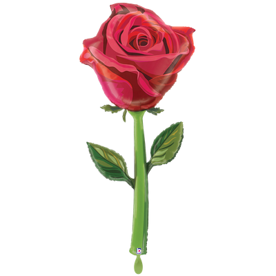 XXL - Fresh Picks Satin Rose