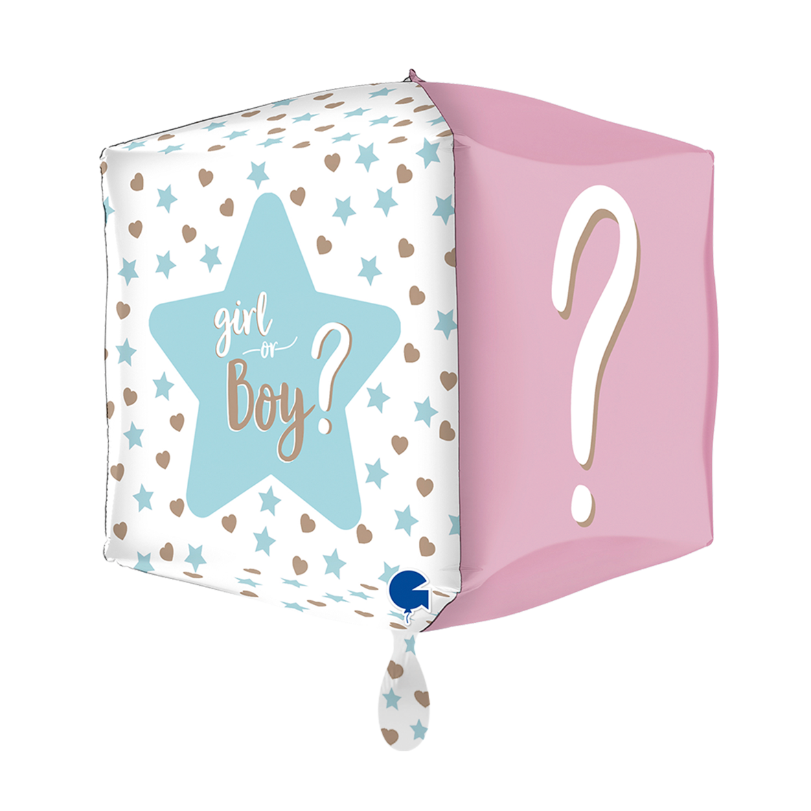 XXL - Square Gender Reveal - 4D